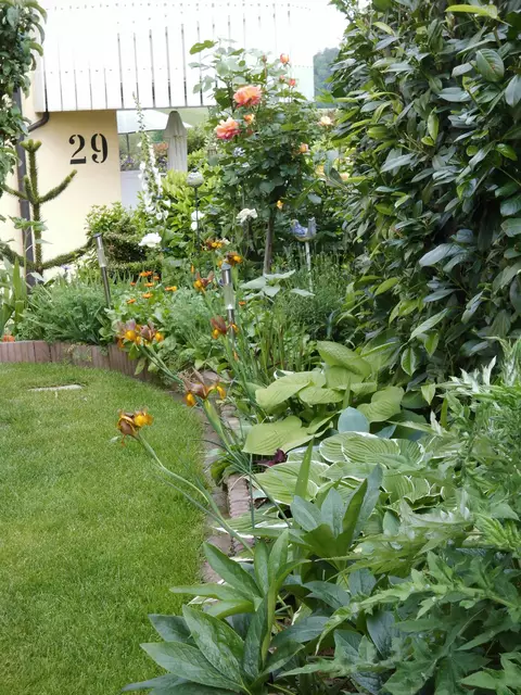 2013. Heute ist der Garten wild. Dafür habe ich weniger Arbeit und kann ihn besser nutzen. | Foto: Daniela Somers