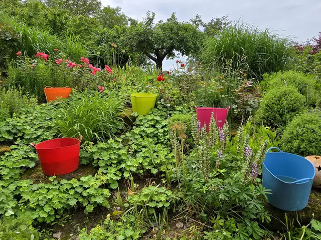 Foto: Heidrun Rosenberger