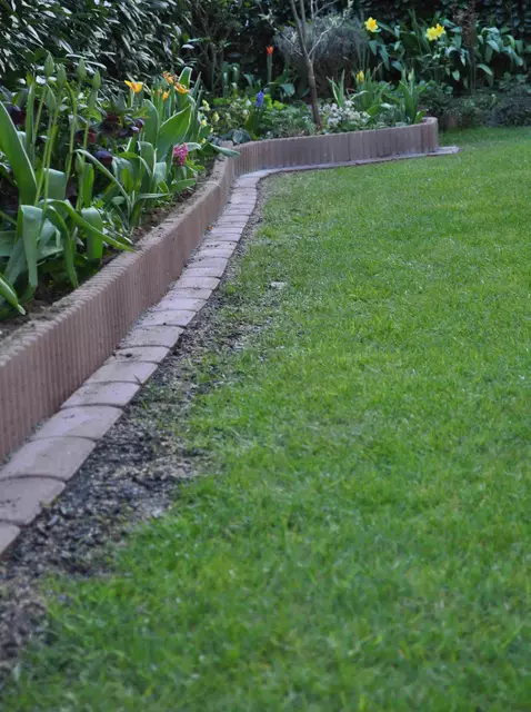 2012. So akurat sah es mal aus. Aber so ein Rasen lebt nicht wirklich. Viel Arbeit und kein Gewinn. Höchstens man hat Kinder die Fußball spielen möchten. | Foto: Daniela Somers