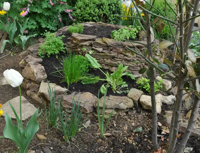 Ursprünglich gabs auch mal eine Kräuterspirale. Hier frisch gebaut und angepflanzt 2010. | Foto: Daniela Somers