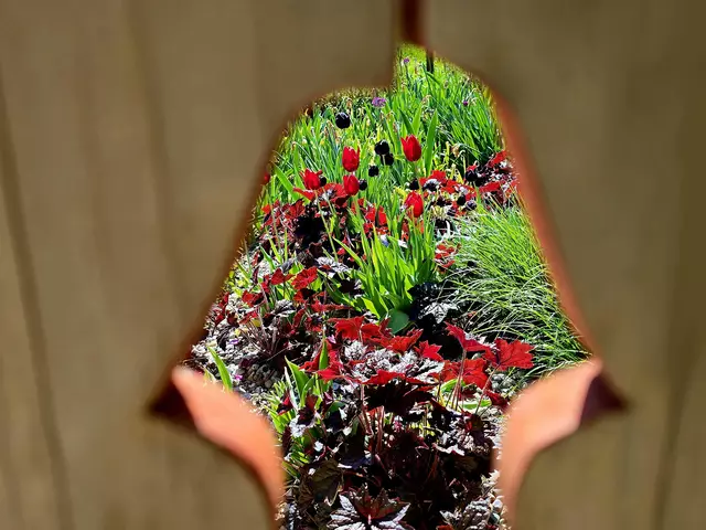 Foto: Heidrun Rosenberger