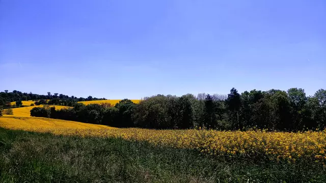 so schön😍🌞😍 | Foto: Ralf Röser