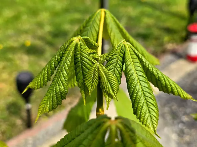 23. April 2025 | Foto: Heidrun Rosenberger