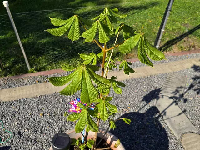 Foto: Heidrun Rosenberger