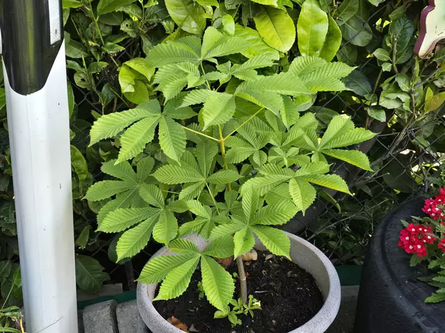 25. Mai 2024 | Foto: Heidrun Rosenberger