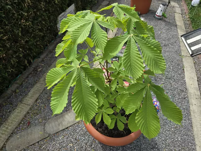 04. Mai 2025 | Foto: Heidrun Rosenberger