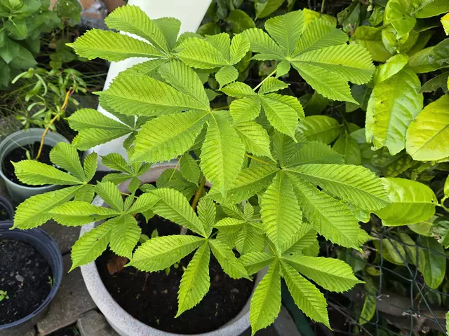 Foto: Heidrun Rosenberger