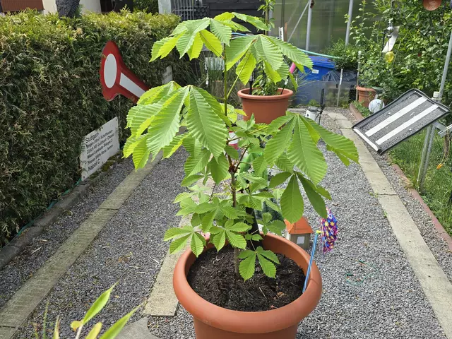 04. Mai 2025 | Foto: Heidrun Rosenberger