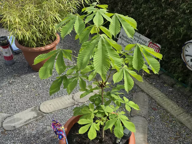 Foto: Heidrun Rosenberger