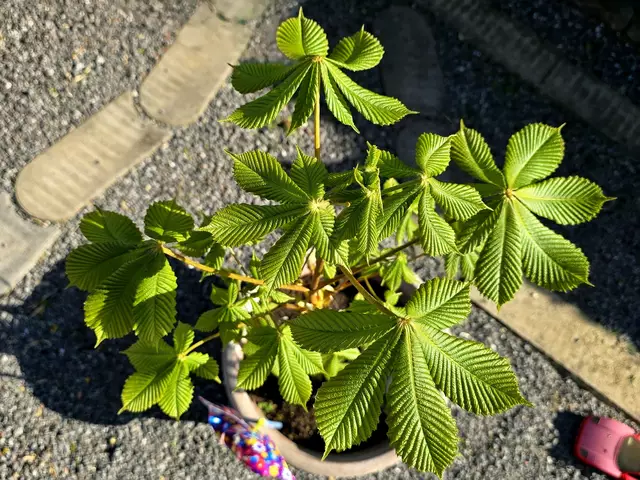 Foto: Heidrun Rosenberger