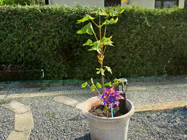 19. April 2025 | Foto: Heidrun Rosenberger