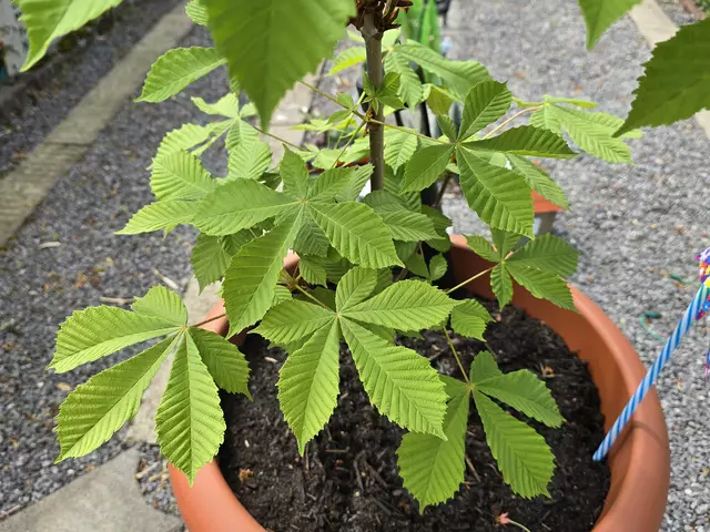 Foto: Heidrun Rosenberger