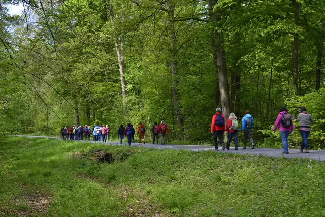 Hier findest du die Wander-Tipps der Heimatreporter in und um die Regionen Heilbronn, Hohenlohe und Kraichgau. | Foto: Michael Harmsen, Schwäbischer Albverein Ortsgruppe Weinsberg