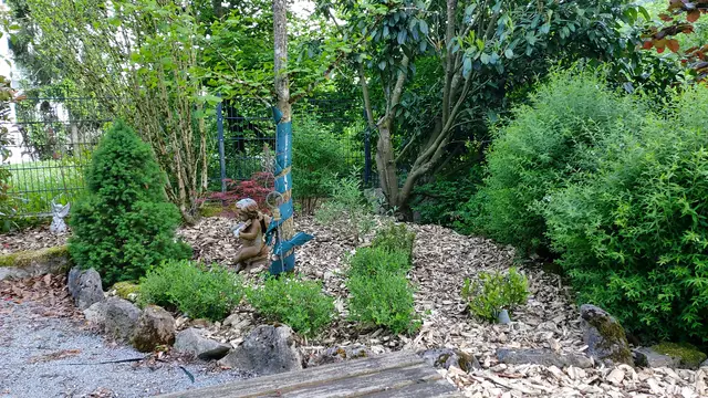 Garteneinblicke🪷🌺🌸🌞😎😍 | Foto: Ralf Röser