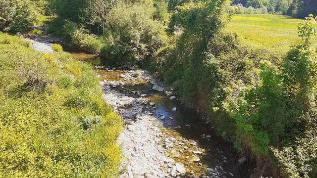 Foto: Ralf Röser