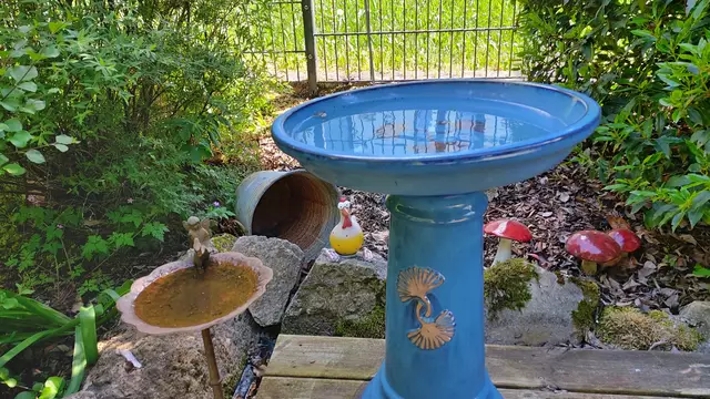 Garteneinblicke🪷🌺🌸🌞😎😍 | Foto: Ralf Röser