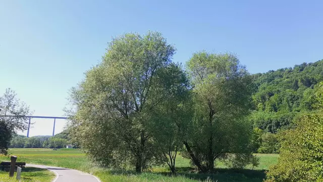 Radweg in Braunsbach | Foto: Ralf Röser