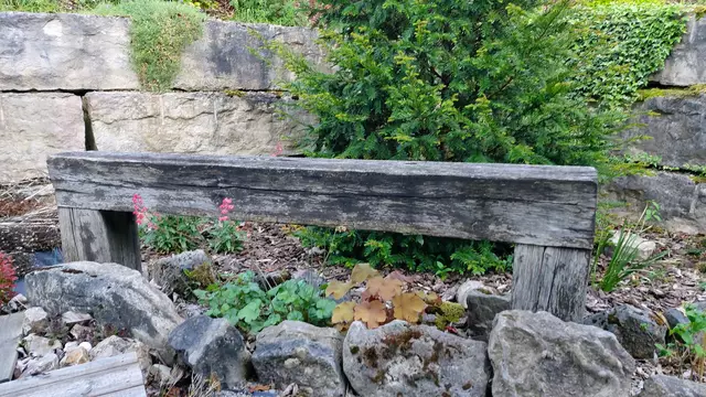 Garteneinblicke🪷🌺🌸🌞😎😍 | Foto: Ralf Röser