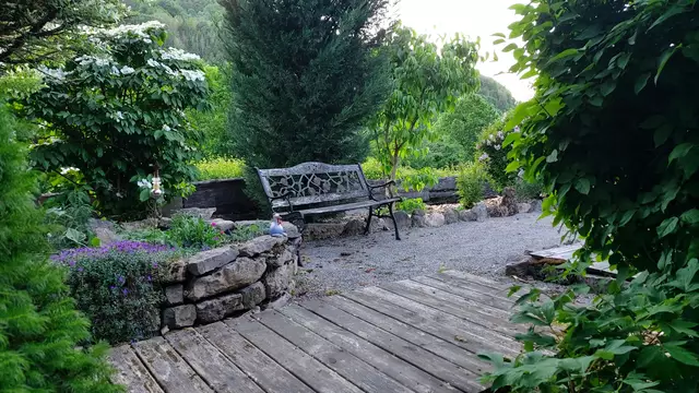 Garteneinblicke🪷🌺🌸🌞😎😍 | Foto: Ralf Röser