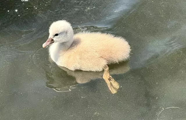 Foto: Heide Böllinger aus Bad Friedrichshall