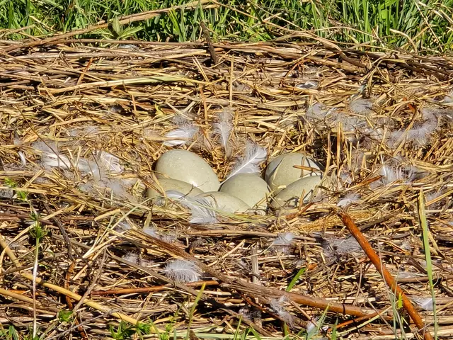 Hier muss noch dran gearbeitet werden....

 | Foto: Heidrun Rosenberger