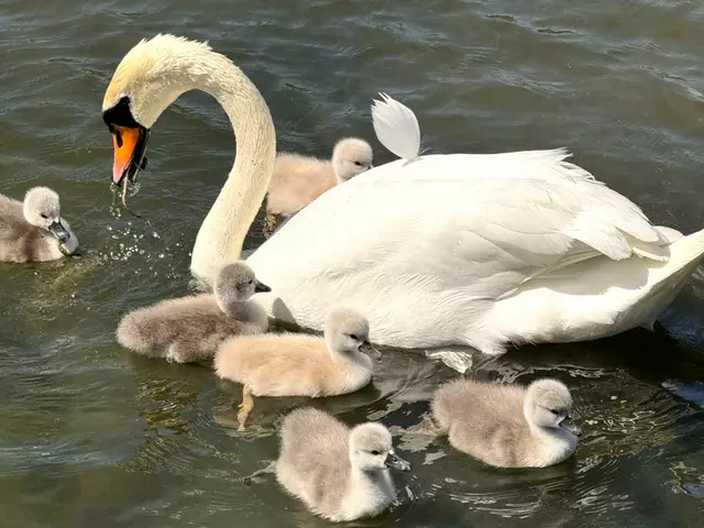 Foto: Heide Böllinger aus Bad Friedrichshall