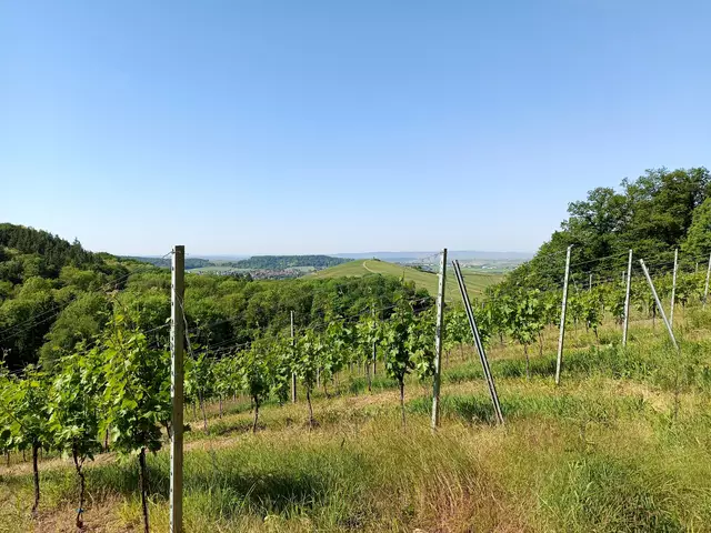 Schanzenweg zum Staufenberg | Foto: Karin Freckmann