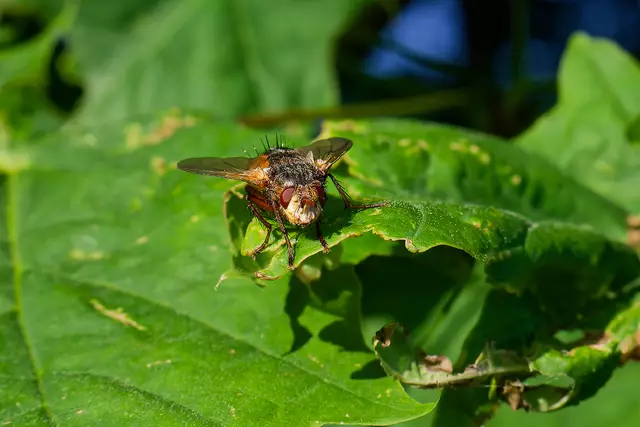 Ich schau Dir in die Augen Kleines | Foto: Michael Harmsen