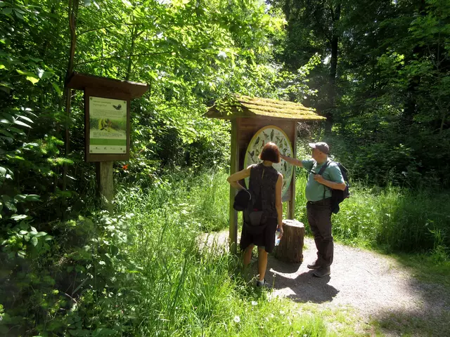 Die flotte Gruppe nimmt sich Zeit für Vogelstimmen | Foto: Wandern Gaby Erich