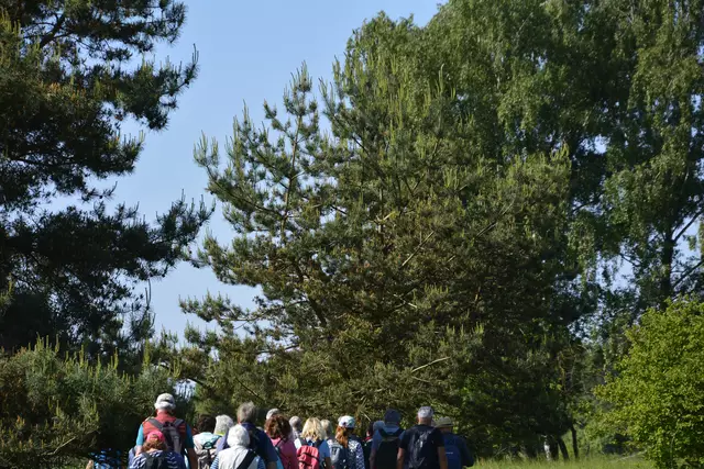 Foto: Michael Harmsen