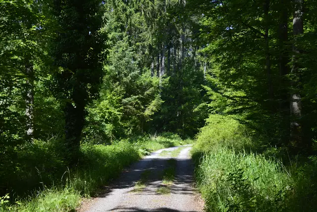 So siehts aus wenn sich der Fotograf mal wieder zu lange mit einem Motiv beschäftigt hat. ALLE weg, jetzt muß ich wieder rennen. :-)))) | Foto: Michael Harmsen