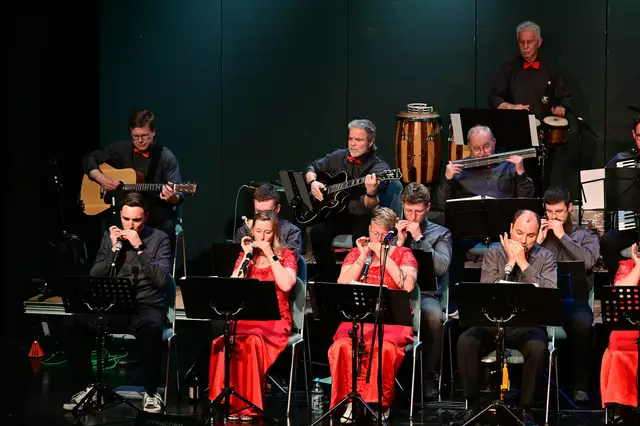 Das Mundharmonikaorchester Knittlingen | Foto: BrackSon