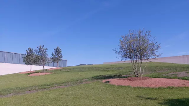 am Carmen Würth Forum in Gaisbach | Foto: Ralf Röser