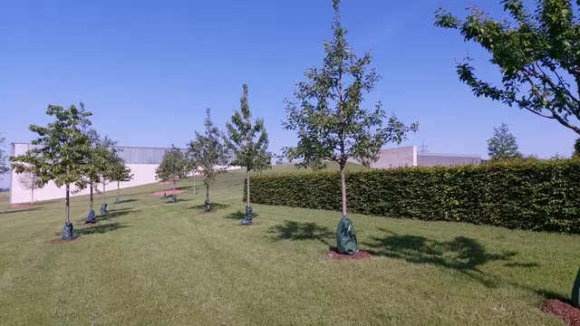 am Carmen Würth Forum in Gaisbach | Foto: Ralf Röser