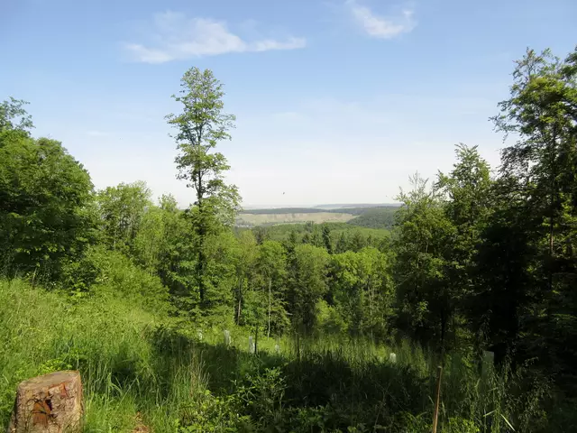 Ungewöhnliche Aussicht zum Sender in Weinsberg | Foto: Wandern Gaby Erich