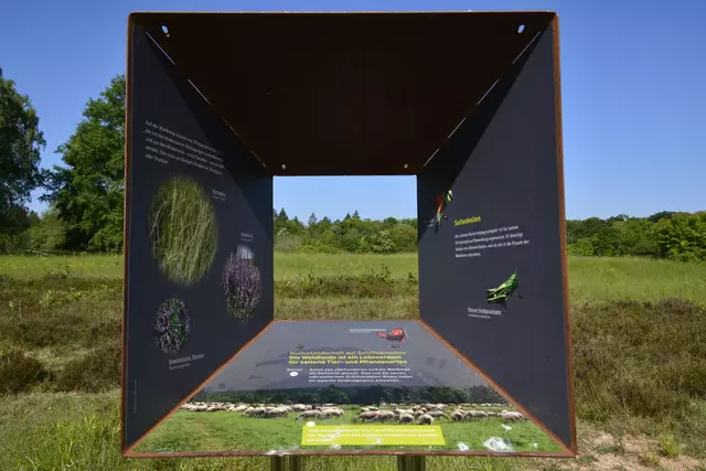 Das Fenster in die Waldheide | Foto: Michael Harmsen