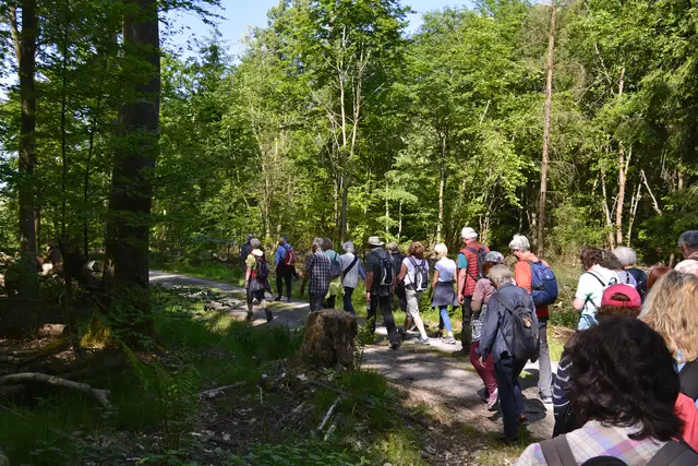 Jetzt sind wir froh im Schatten wandern zu können. Es wird schon wieder ganz schön warm. | Foto: Michael Harmsen