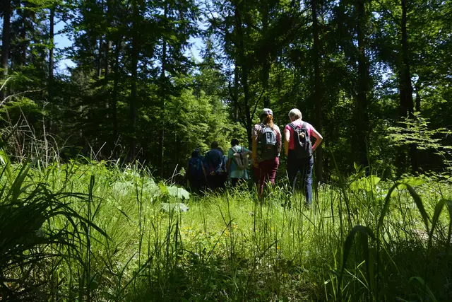 Aus der Froschperspektive | Foto: Michael Harmsen