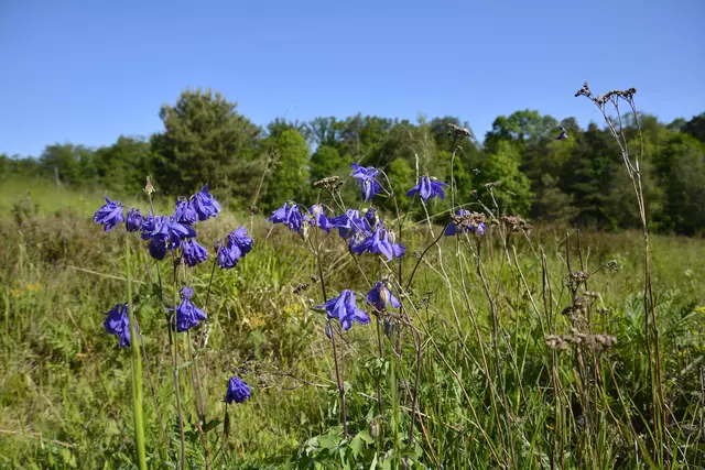 Foto: Michael Harmsen