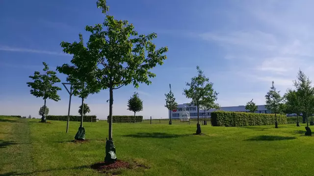 am Carmen Würth Forum in Gaisbach | Foto: Ralf Röser