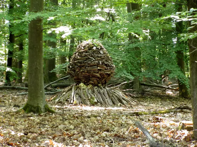Schnell geknipst, bevor die große Gruppe die Sicht versperrt | Foto: Wandern Gaby Erich