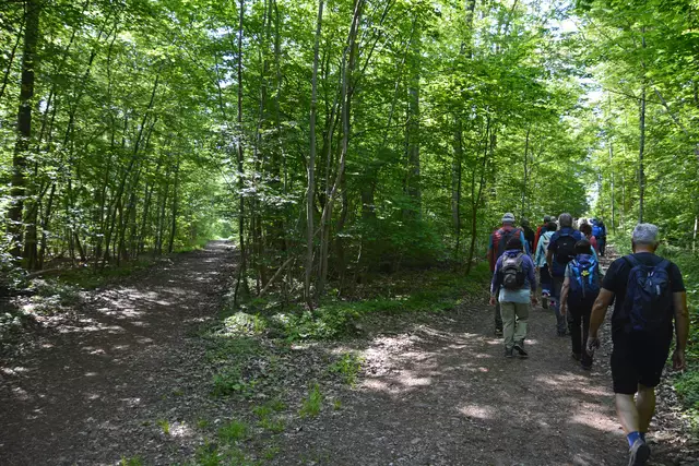 Links oder Rechts? Diesmal haben wir uns für Rechts entschieden. | Foto: Michael Harmsen