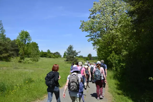 Und wieder haben wir die Waldheide erreicht | Foto: Michael Harmsen