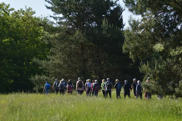 Wanderschlange | Foto: Michael Harmsen