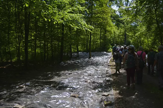 Na was ist denn das................? | Foto: Michael Harmsen