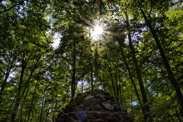 Blendenstern über dem Holzei | Foto: Michael Harmsen