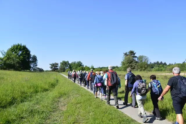 Start und Landebahn Waldheide. | Foto: Michael Harmsen