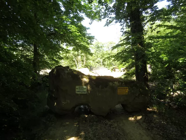 Wegsperre  | Foto: Wandern Gaby Erich