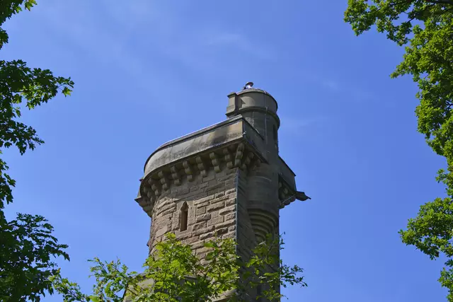 Einige gut trainierte gehen noch auf den Schweinsbergturm | Foto: Michael Harmsen