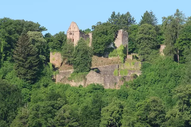 Foto: Eduard Warenik